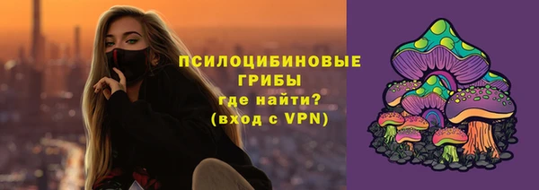 амф Аркадак