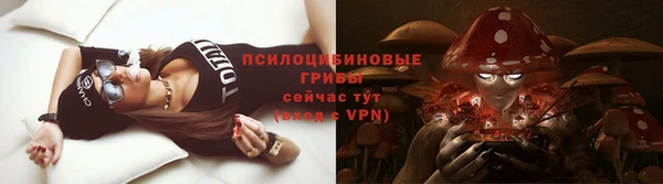 амф Аркадак